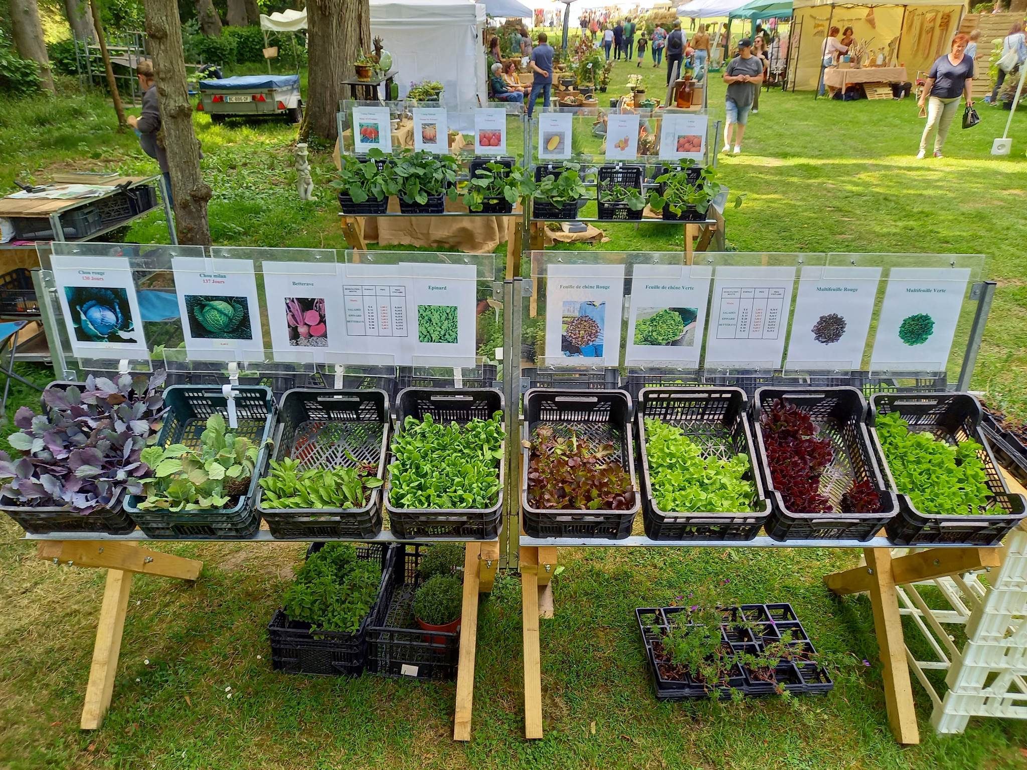 Photos du potager de la pépnière